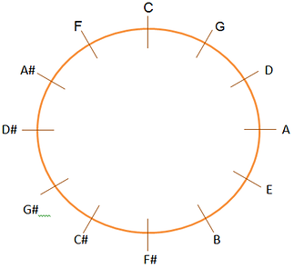 ciclo de quintas