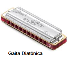 gaita diatonica