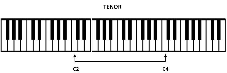 tenor