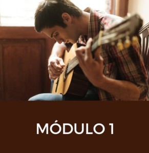 módulo 1 - ilustração violão